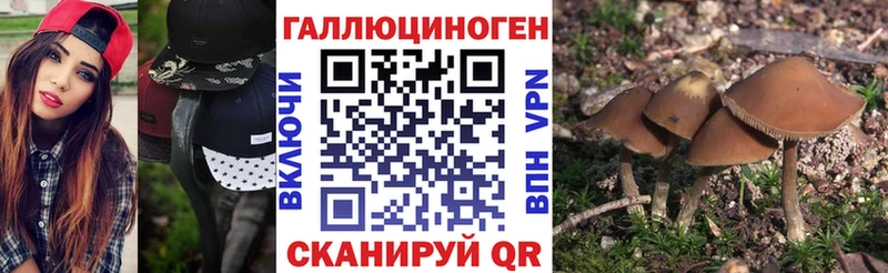 Галлюциногенные грибы прущие грибы  МЕГА как зайти  Самара 