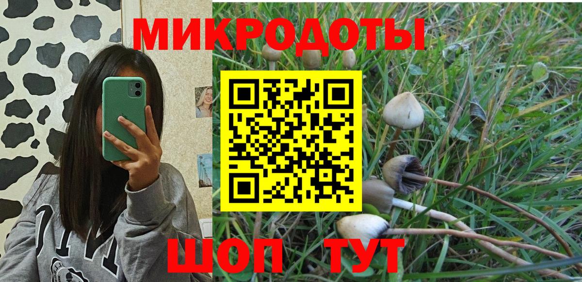 Псилоцибиновые грибы прущие грибы Самара