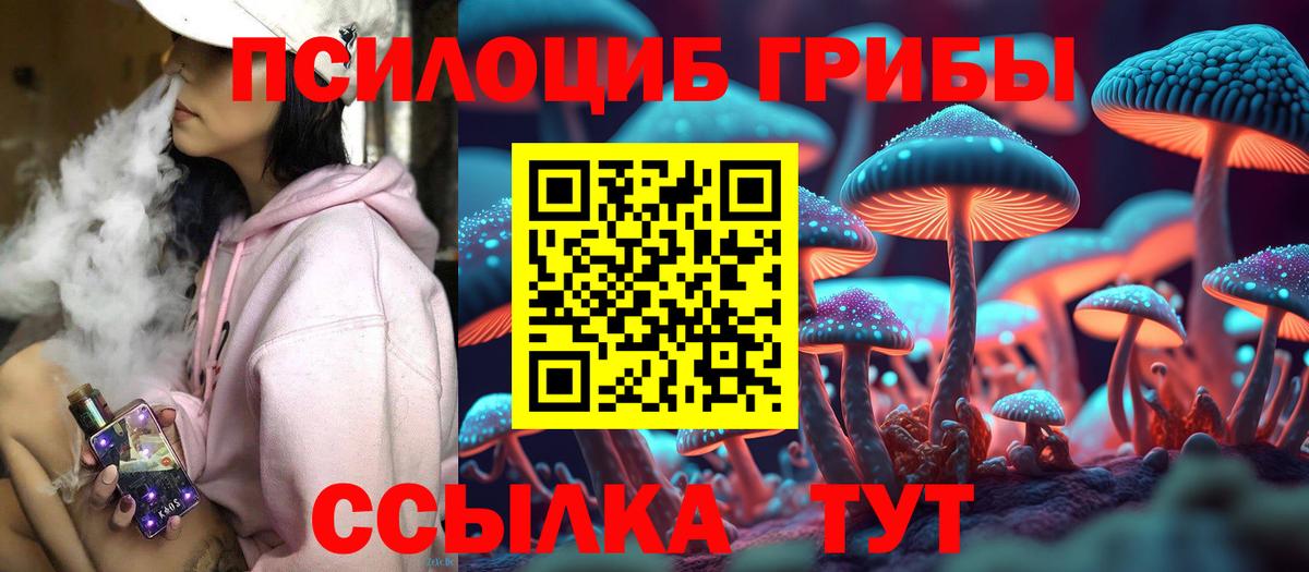 Самара  Галлюциногенные грибы GOLDEN TEACHER  Вход с VPN 